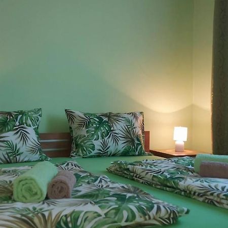 Apartman ,,Milica" Donji Milanovac Exteriér fotografie